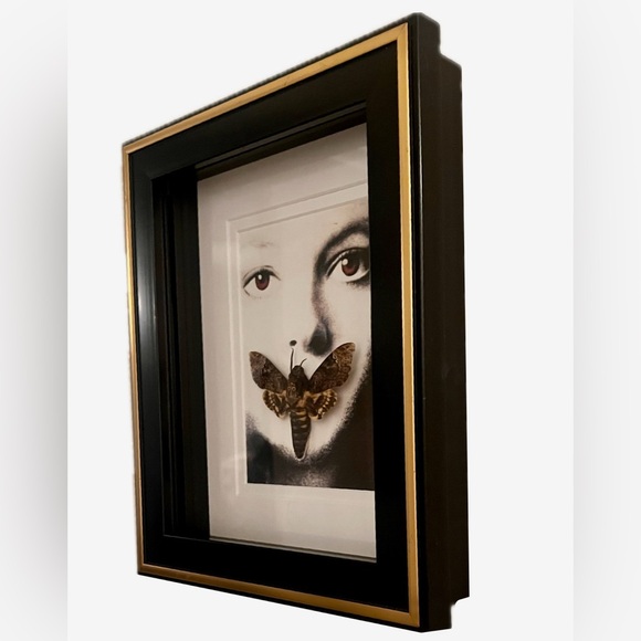 Oddity Silence of the Lambs Taxidermy Death Moth Hand-Mounted/Made Wall Decor